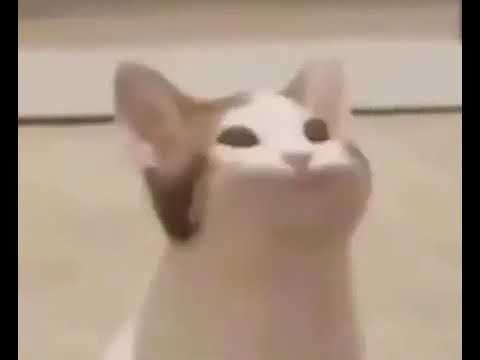 Test product